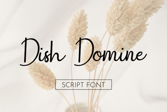 Dish Domine: Where Modern Script Meets Bold Readability